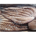 good supplier wholesale frozen octopus for long-term cooperation